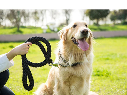 Durable Nylon Dog Collar Leash Set Traction Rope Medium Big Dog Walking Accessories Labrador Husky P-Chain Travel Pet Products