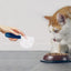 Dog Food Scoop Cat-Ear Shape Food Scoopers Kitten Food Measuring Cups Clear Convenient Scoops Bag Sealing Clip for Dry Dogs