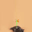 Cat Toy Cat Teaser Stick Three Color Dragonfly Hanging With Adjustable And Adjustable Self Cat Teaser Toy Swing Cat Teaser Stick