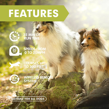 Interactive Dog Toys, Lure Course Machine for Dogs, Agility Training Equipment for Dogs, Pet Chase Toys,