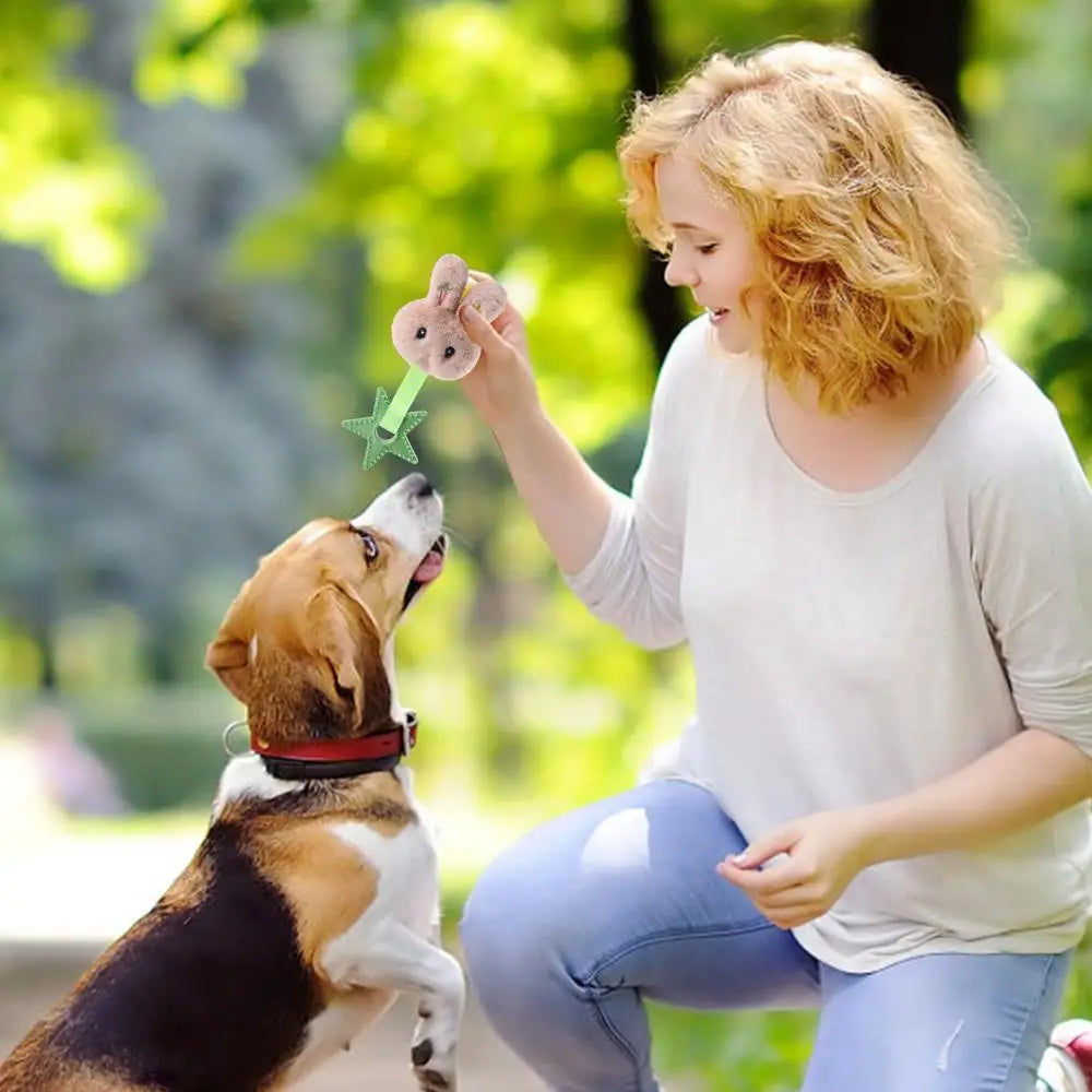 Pet Dog Sound Squeaky Toys Dog Chew Toy Cute Plush Chew-Resistant Squeaky Toys Puppy Sound Oral Care Soft Dog Supplies Pet Toys