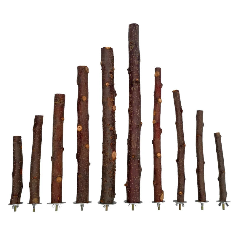 Natural Wood Pet Parrot Raw Wood Fork Tree Branch Stand Rack Squirrel Bird Hamster Branch Perches Chew Bite Toys Stick 1Pcs
