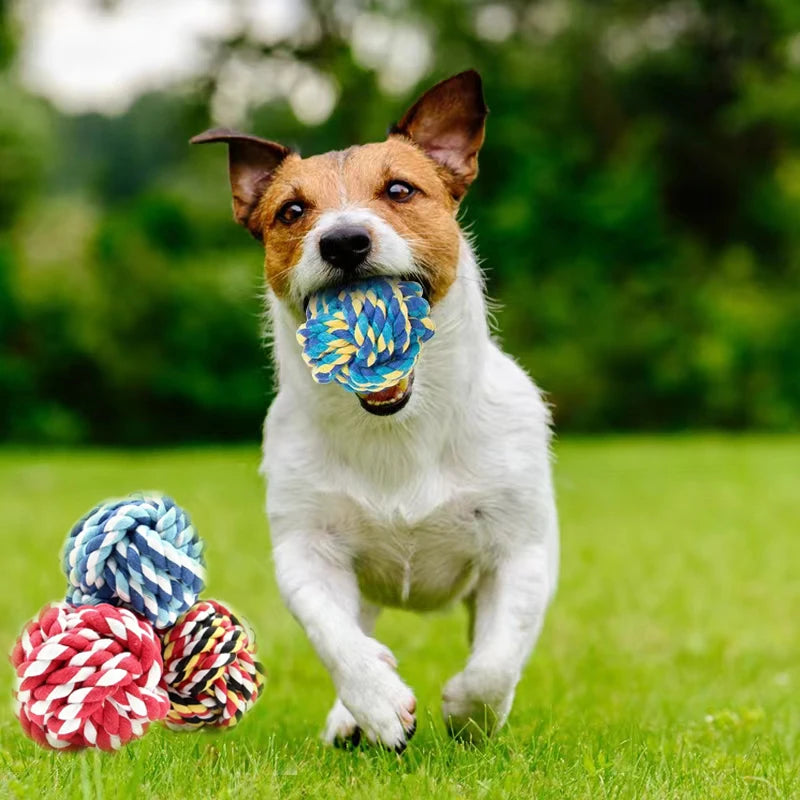Pet Toy Chew Teething Cotton Rope Knot Ball Toys For Dog Tooth Clean Ball Bite-Resistant  Dog Chew Puppy Training InteractiveToy