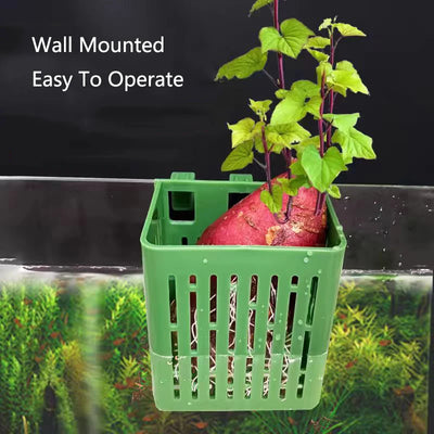 Aquarium Planting Basket Hydroponic Support Hangable Fish Tank Water Grass Cup Aquatic Plant Holder Wall Hanging Flower Pots
