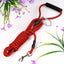 2M/3M/5M/10M Long Pet Leash with Foam Handle Training Round Rope Line Lead Leash For Outside and Yard Small Medium Large Dogs