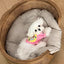 Four Seasons Universal Pet Nest Mat Suitable for Solid Wood Oak Kennel Cat Nest Sofa Bed Medium and Small Dog Universal Dog Sofa