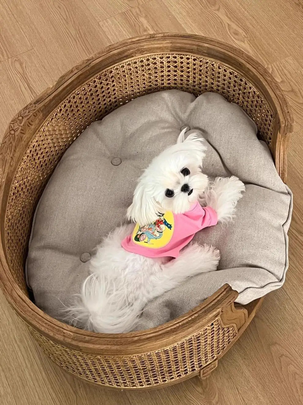 Four Seasons Universal Pet Nest Mat Suitable for Solid Wood Oak Kennel Cat Nest Sofa Bed Medium and Small Dog Universal Dog Sofa