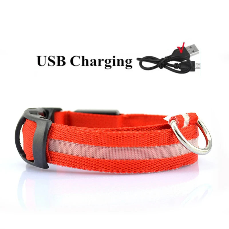 LED Dog Collar USB Rechargeable - Bright & High Visibility Lighted Glow Collar for Small Medium Large Breeds Pet Night Walking