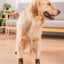 Premium Anti-Slip Dog Socks 4pcs Indoor Dog Socks Prevents Licking Slipping Great for Dog Paw Protection for Medium Large Dogs