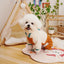 Dog Coat with Harness Winter Dog Clothes Chihuahua French Bulldog Clothing Thin Jacket Fleece Jumpsuit Dog Costumes Puppy Coat