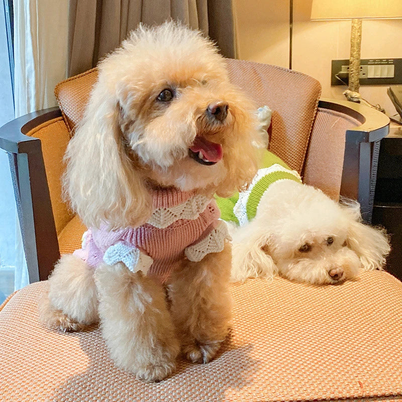 Luxury Designer Warm Winter Clothes for Pets Wool Knitting Floral New Year York Dog Sweaters Sphinx Cat Christmas Puppy Clothing