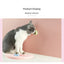 1PC Natural Cats Candy Snack Ball Rotatable Toy Catnip Pure Cat Molar Toothpaste Edible Bolus Teeth Cleaning Bite-resistant Toys