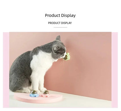 1PC Natural Cats Candy Snack Ball Rotatable Toy Catnip Pure Cat Molar Toothpaste Edible Bolus Teeth Cleaning Bite-resistant Toys