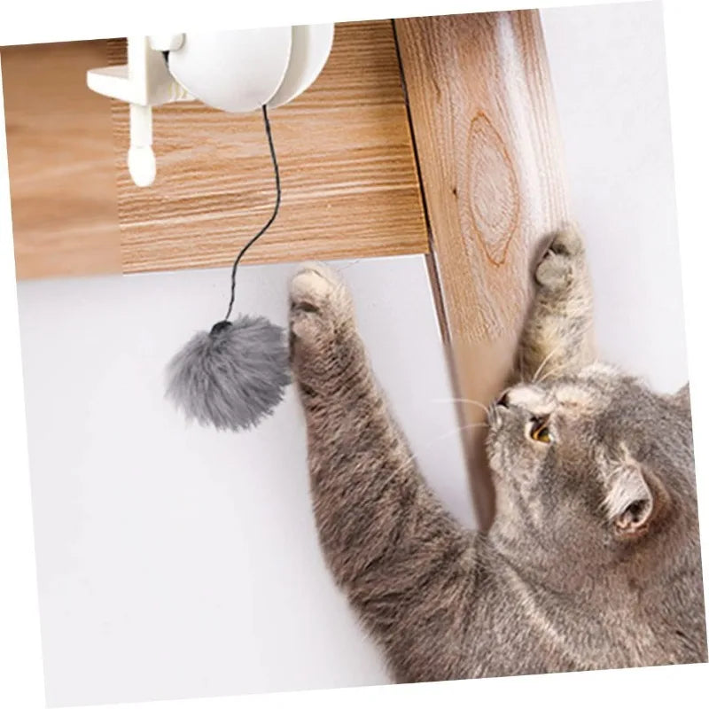 Cat toys interactive cat toys, cat teasing toy lifting ball, automatic lifting cat toy, electric fluttering cat rotating toy
