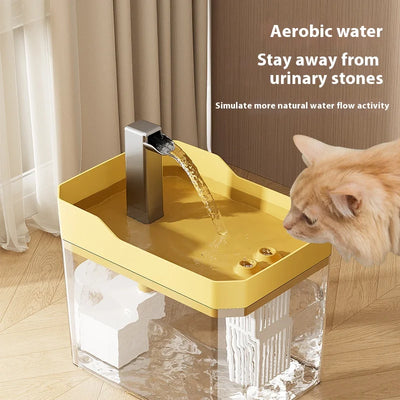 High end transparent cat water dispenser, plug-in automatic wired water dispenser, circulating flow water basin, pet water dispe