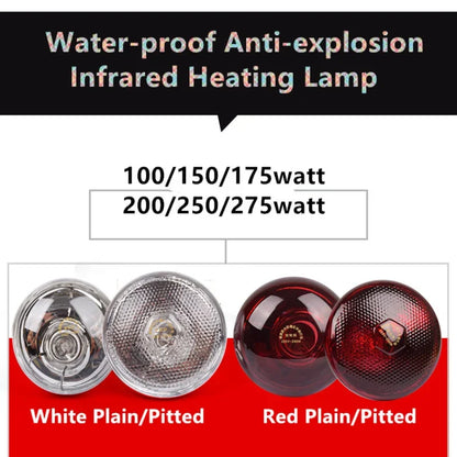 100-275 Watt  220v Waterproof Anti-explosion Livestock Chicks Piglet Heating Lamp Infrared Heat Light Bulb For Poultry Pig House