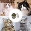 Catnip Organic 100 Natural Premium Cattle Grass Non-toxic Interactive Funny Cat Toy Healthy Safe Catnip Pet Toys Nepeta Cataria