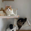 Cat Tree Cat Climbing Shelves Platform For Cat Hammock Four-step Ladders Sisal Steps And Post For Cat Playing And Climbing