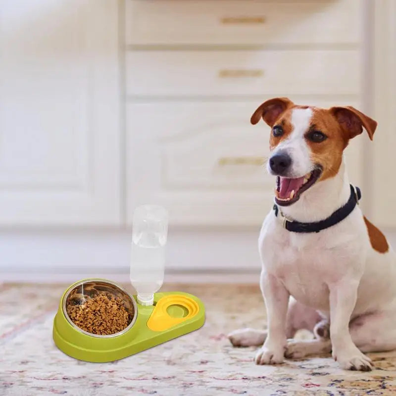 Elevated Cat Bowls Dog Feeder Cat Food Dishes Dog Food And Water Bowl Set Tilted Pet Food Bowls For Indoor Pet Cats Dogs Kittens