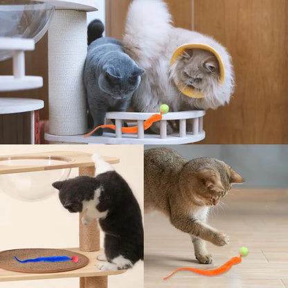 6pcs/set Cat Ball Toy Cat Tail Toy Cat Interactive Ball Creative Fuzzy Toys Bouncy Tails Cat Toy Cat Chaser Toy Kitten Playing