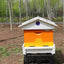 Automatic Self-Flowing Bee Hive Apiculture Beekeeping Beehive Bee Hive Ten Boxes Standard Fully Automatic Intelligence