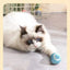 Cat Interactive Ball Training Self-moving Kitten Electric Cat Ball Tovs Elect ronic Automatic Rolling Magic Ball Toys for Cat
