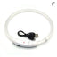 50cm LED Luminous Dog Collar Waterproof And Dustproof Visual Night Dog Walking To Prevent Lost Creative Color Dog Sub-sign Light