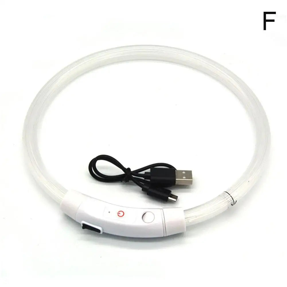 50cm LED Luminous Dog Collar Waterproof And Dustproof Visual Night Dog Walking To Prevent Lost Creative Color Dog Sub-sign Light