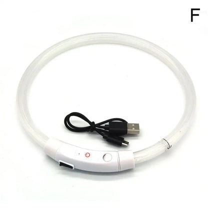 50cm LED Luminous Dog Collar Waterproof And Dustproof Visual Night Dog Walking To Prevent Lost Creative Color Dog Sub-sign Light
