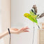 Detachable Bird Foot Chain Outdoor Parrot Pet Flying Rope Biting-Resistant Bird Training Toy With Ankle Foot Ring For Terrace