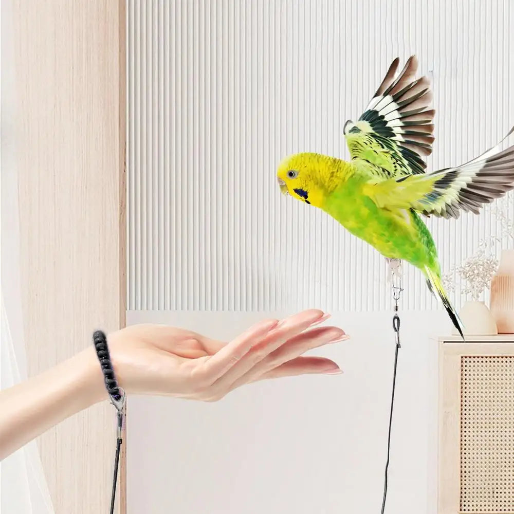 Detachable Bird Foot Chain Outdoor Parrot Pet Flying Rope Biting-Resistant Bird Training Toy With Ankle Foot Ring For Terrace
