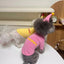 Pet Dog Vest Kitten Puppy Summer T- Shirt Solid Dog Clothes for Small Dogs Cat Dog Birthday Party Festival Accessories Apparels