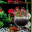 Aquarium Plant Holder Clear Aquarium Tank Live Plant Pot Aquatic Planter With Suction Cups Red Shrimp Live Plants Fish Tank