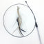 Interactive Cat Toy Handfree Cat Stick Playing Kitten Playing Teaser Wand Toy Suction Cup Bird/Feather Cat Wand Pet Supplies