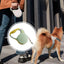 Heavy Duty Dog Rope Telescopic Tractor Automatic Rope Dog Walking Retractable Security Strap Long Lead Pet Rope With Non-Slip