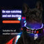 Dog Led Light Up Collar Rechargeable Waterproof Glowing Adjustable Dog Collar Weather Proof Dog Lights For Night Walking