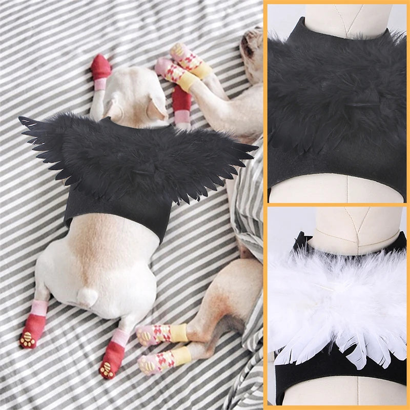 Angel Wings Pet Dogs Accessories Festival Halloween Puppy Costume Clothes Black White Cosplay Jacket Luxury Designer Pet Items