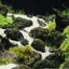 1pcs Natural Aquarium Decor Lava Stone Rockery Landscaping Fish Tank Microporous Volcanic Stone Porous Good for Plants Growth