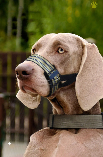Quick Release Dog Muzzles Adjustable Reflective Dog Muzzle Soft Padded Medium & Large Dogs Halter Nose Leads for Outdoor Walking