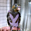 Parrot Flying Harness Leash Suit Pet Bird Outdoor Flight Training Rope Cockatiel Supplies Macaw Accessories  Stuff For Budgie