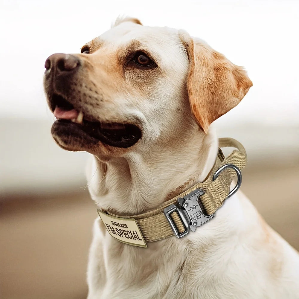 Heavy Duty Tactical Dog Collars with Handle Military K9 Collar with Patch Outdoor Training and Walking for Medium and Large Dogs