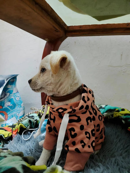 Warm Dog Clothes Hoodies for Small Dogs Cute French Bulldog Clothing Fashion Winter Puppy Supplies Cat Jumper Chihuahua Costume