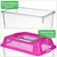 4Pcs small Portable Tourtise Aquariums Handheld Goldfish Aquarium reptile Tourtise Aquarium clear Turtle lizard Hamster Living