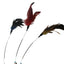Cat Toy Cat Teaser Sticks Colored Pole Teasing Cat Stick Spring Feather Bell Feather Cat Toy Cat Supplies Self-hi Interaction