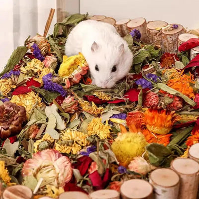 Hamster Flowers Natural Dried Flower Gerbil Bedding Odor Control Enclosure Habitat Decor For Rabbits Gerbils Or Other Small