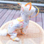 Rain Coat for Dog Raincoat Waterproof Clothing Pieces Dogs Accessories Pet Clothes Puppy Large Clothings Acsessorie