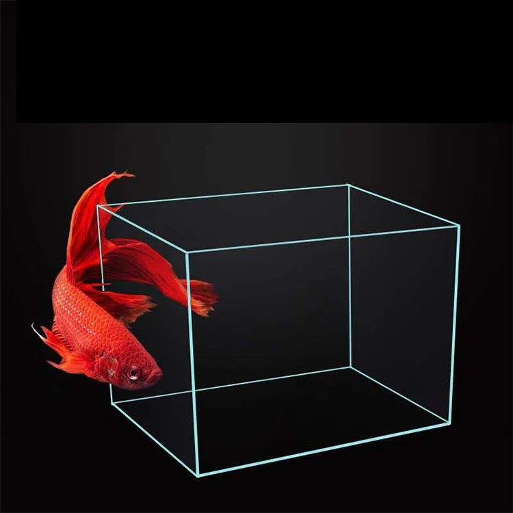 Clear and Transparent Small Aquarium Tank Rubber Strip Uniform White Glass Fish Tank Aquarium Glass