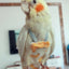 Parrot Diaper with Bowtie Cute Colorful Fruit Floral Cockatiel Pigeons Small Medium Large Pet Birds Flight Suit Clothes Washable