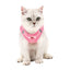 Dog Harness Dog Traction Rope Corduroy Breathable Dog Chest Strap Reflective Pet Chest Strap Walking Rope Set