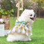 Plaid Dog Dress Cute Princess Dresses Cat Plaid Vest Small and Medium-sized Pet Clothing Classical Style Printed Pattern Clothes
